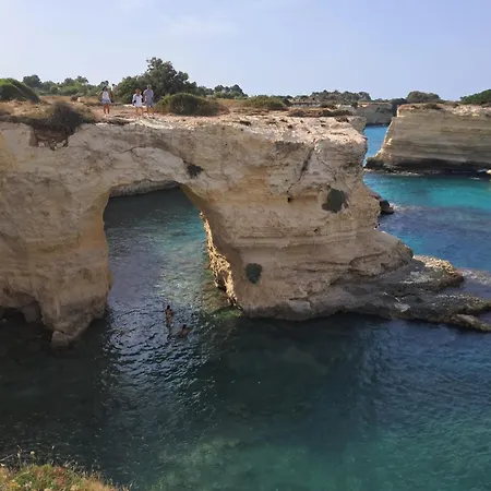 Affitto Frassanito Appartamento