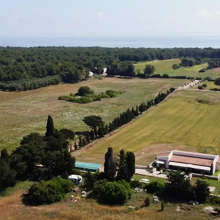 Apartment Affitto Frassanito